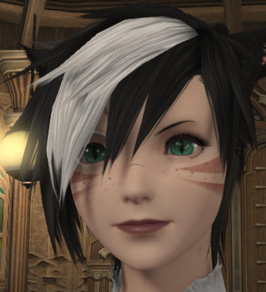 Hair &amp; Face Highlight Edit